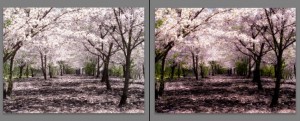 sample 4